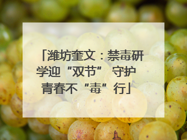 潍坊奎文：禁毒研学迎“双节” 守护青春不“毒”行